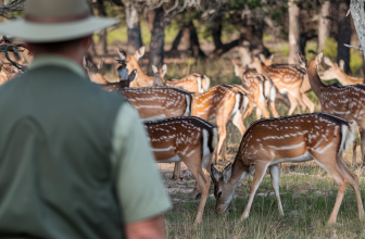 The Role of Hunting in Managing Wildlife Populations