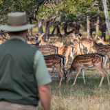 The Role of Hunting in Managing Wildlife Populations